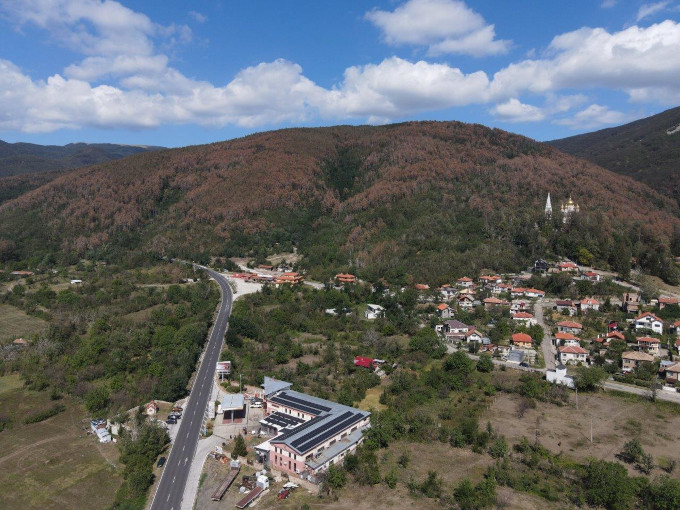 Липсата на грижа за горите води до природни бедствия Застрашени сме от нови пожари, ерозия и обезслесяване, ако не се предприемат спешни мерки